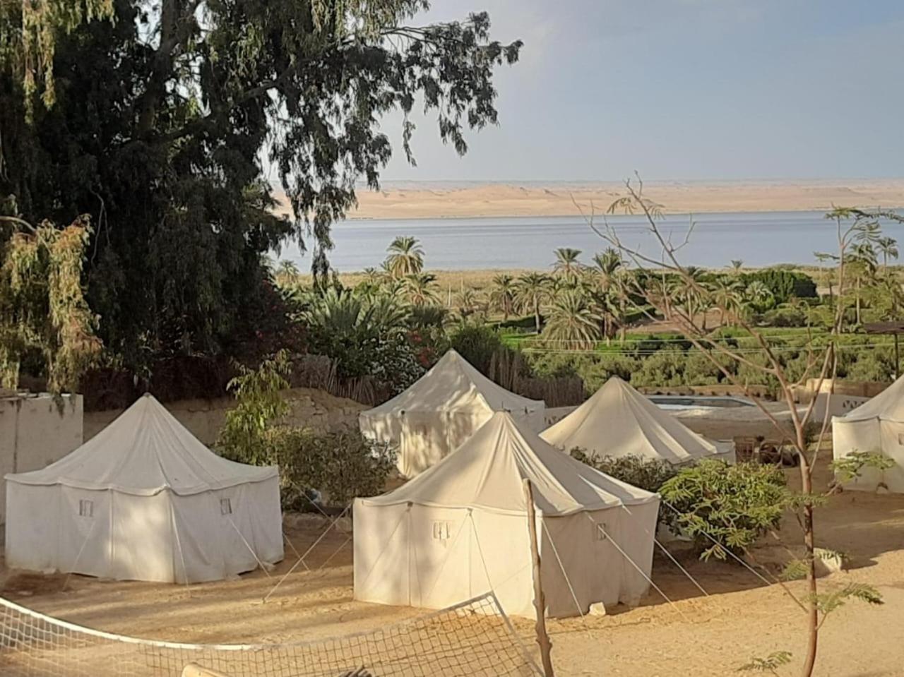 Tunis Camp Al Fayyūm エクステリア 写真